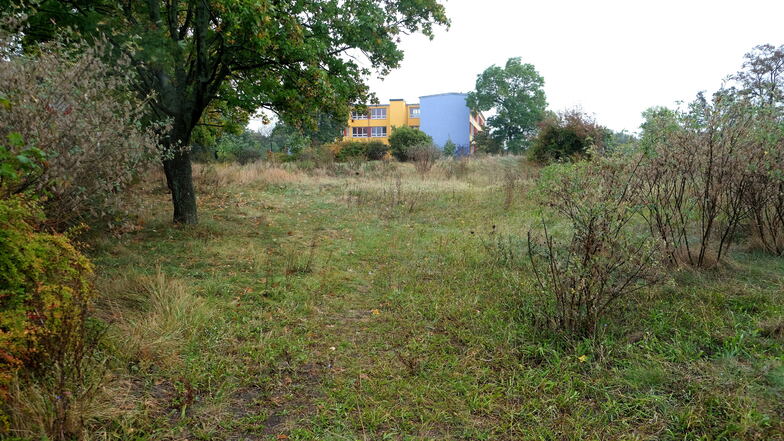 Auf dieser Brachfläche am Querweg mit Blick in Richtung Kalkbergschule soll ein neues Wohngebiet entstehen.