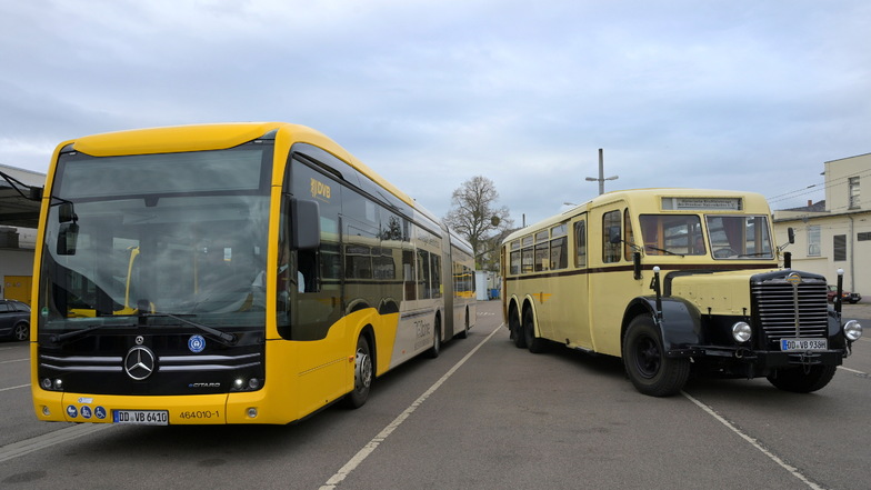 Alt und neu: Die DVB feiern am Wochenende 110 Jahre Busse in Dresden.