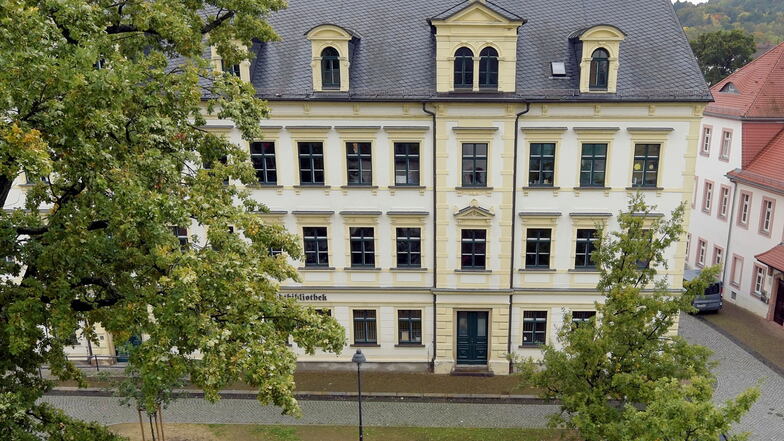 Die Döbelner Stadtbibliothek lädt für Sonnabend zum Lesefest in ihr Haus am Lutherplatz ein.
