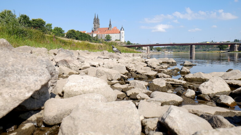 Die Elbe hat sich in den letzten Jahren immer häufiger weit in ihr Bett zurückgezogen. Der Klimawandel ist in der Region angekommen.