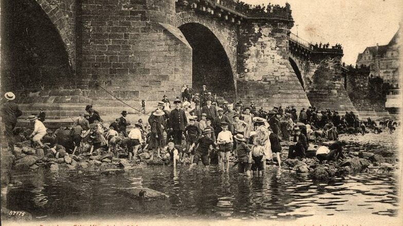 Niedrigwasser Elbe Sommer 1904 Dresden, "Schatzsucher" an der Augustusbrücke. Postkarte 190