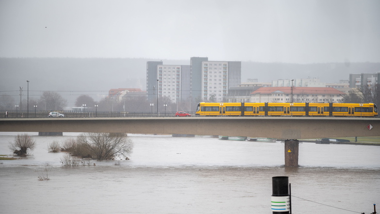 Hochwasser in Dresden: Wasserstand steigt wieder in Alarmbereich