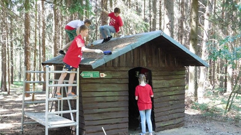 Die Jugendgruppe „Elstra-Sozial“ zog in den Wald. Dort verpasst sie einer Schutzhütte am Kammweg einen neuen Anstrich.