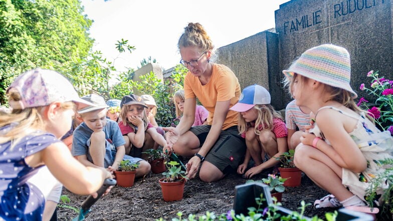 Linda Kühnel, Friedhofsverwalterin in Coswig, zeigt den Kindern des Kindergartens, wie eine Walderdbeere auf einem Grab eingepflanzt wird.