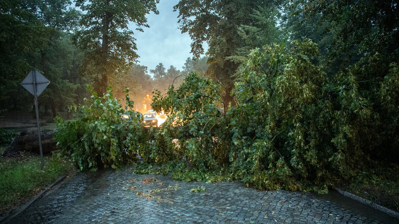 Umgestürzte Bäume und abgebrochene Äste waren die häufigste Ursache der zahlreichen Verkehrsbehinderungen in Tschechien.