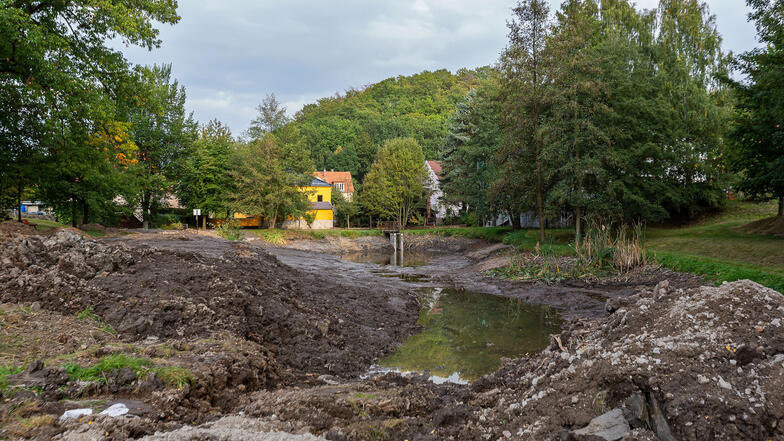 Der Dorfteich Kleinnaundorf wird entschlammt.