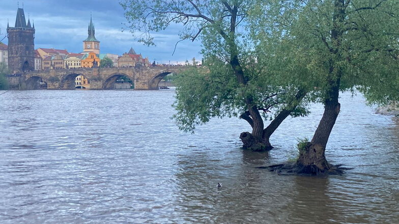 Die Moldau ist in Prag über die Ufer getreten. Kommt das alles zu uns?