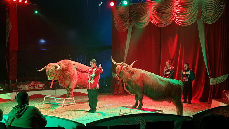 Circus Magic zeigt über 25 Tiere im großen Zelt.
