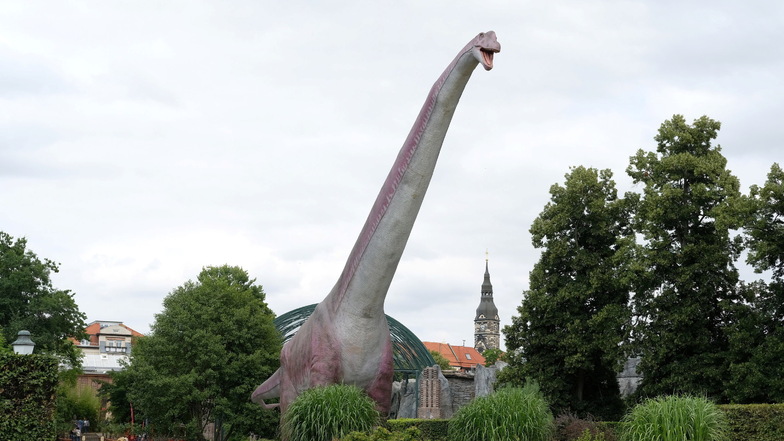 Ein Modell des Argentinosaurus steht im Zoo Leipzig. Das lebensgroße Abbild gehört zur Ausstellung "Das gigantische Dino-Abenteuer", die dort gezeigt wird.