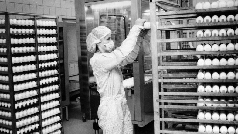 27. April 1994: Über 100.000 Hühnereier werden derzeit im Sächsischen Serumwerk Dresden mit dem Impfstamm infiziert, um daraus den Influenza-Impfstoff zu gewinnen. Ende August wird der neue Impfstoff ausgeliefert."
Foto: SZ/Waltraut Kossack