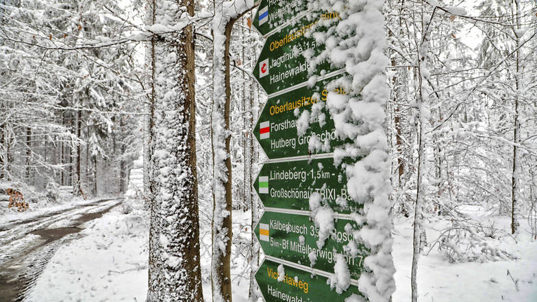 Wohin des Weges? Der Schnee klebt förmlich an den Schildern bei Großschönau. Foto: Rafael Sampedro
