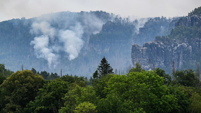 Der Wald brennt im Nationalpark Sächsische Schweiz: Auch der Tourismus ist davon betroffen.