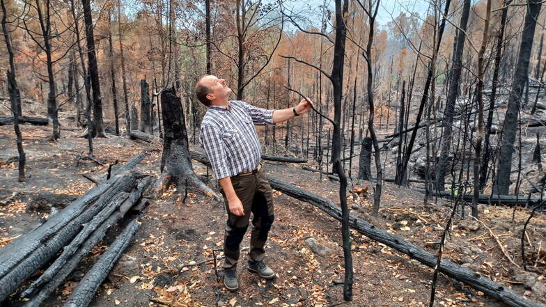 "Man muss sich raushalten." Waldschutz-Professor Michael Müller auf Exkursion im Brandgebiet am Winterberg. Er schlägt vor, Feuer entlang der Wege zu bekämpfen, statt im Wald selbst.