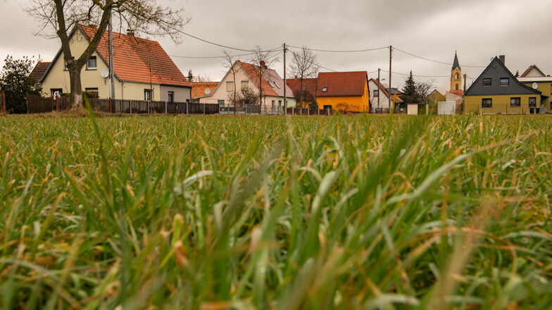 Voll belegt ist das Wohngebiet "Neue Siedlung" in Wildenhain (Hintergrund). Einige Flächen im Umfeld favorisiert der Ortschaftsrat für künftige Wohnbebauung und will dies im Flächennutzungsplan verankern.