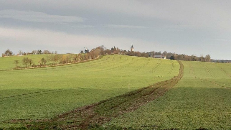 Der Standort des Feldraines: Östlich von Kottmarsdorf entsteht ein Wiesenstreifen.