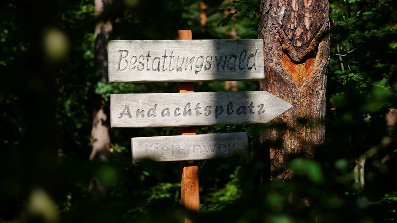 Neustadt: So geht es mit dem Bestattungswald weiter