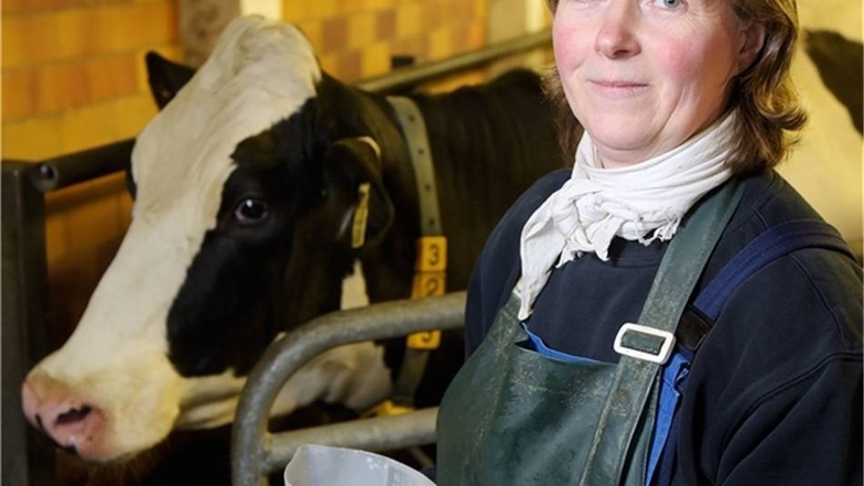 Melkerin Karola Nixdorf hat sich um die Kühe der Ebersbach-Otzdorfer Milchproduktion gekümmert. Die Tiere sind es gewohnt, immer zur selben Zeit gemolken zu werden, deshalb durften die 50-Jährige und ihre Kollegen auch nur ein wenig eher mit der Arbeit beginnen, um in dieser Nacht etwas früher bei ihren Familien zu sein. Das war aber nur dann möglich, wenn keine der Kühe gekalbt hat, die Tiere mit Streu und Futter versorgt waren. Zuhause wollte sie mit denjenigen das neue Jahr begrüßen, die noch munter waren.