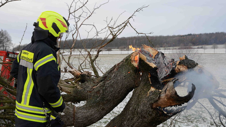 Ein Baum in Großhennersdorf brannte aus unerklärlichem Grund. Unter ihm stand eine Skulptur.