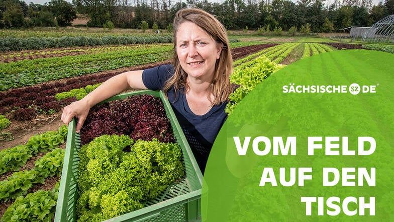 Katrin Leipacher betreibt mit ihrem Mann Oliver die Biogärtnerei Auenhof in Niederlützschera bei Ostrau.