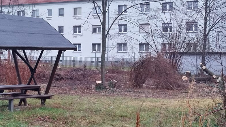 Das Grundschul-Grundstück in Gröba, fotografiert aus Richtung Merzdorfer Straße. Hier mussten 13 Bäume gefällt werden - um Platz für die Außenanlagen zu schaffen. Die Stadt will 32 Gehölze nachpflanzen.