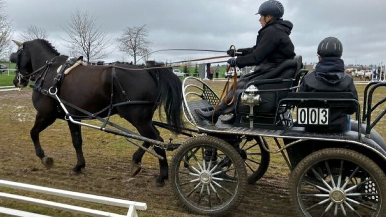Pferde in Aktion - Fahrertag und Reitturnier in Lüttewitz ist eine von vielen Veranstaltungen für Familien.