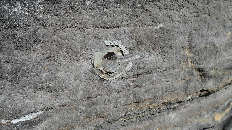 Das Foto zeigt einen zerstörten Sicherungsring am Klettergipfel Bielawächter. Insgesamt sind in der Sächsischen Schweiz derzeit 24 solcher Fälle dokumentiert.  Fotos: SBB, Steffen Unger