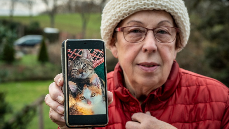 Sofie Barthel zeigt ein Foto der jungen Katzen Carlo und Lady, die misshandelt wurden. Ein älteres Tier, das ebenfalls Carlo heißt, ist seit März verschwunden.