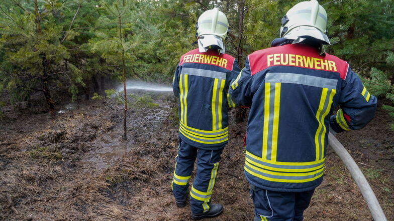 Laußnitz: Feuer vernichtet 400 Quadratmeter Waldboden
