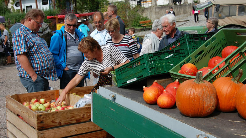 Auch frisches Obst und Gemüse aus der Region gab es beim Handwerker- und Dreschfest zu kaufen. 