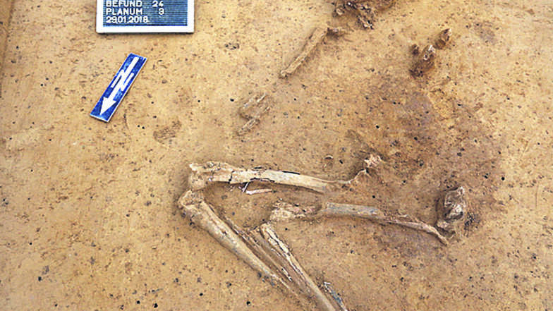 Angewinkelte Beine, Kopf nach Osten, das ist typisch für die Bronzezeit.