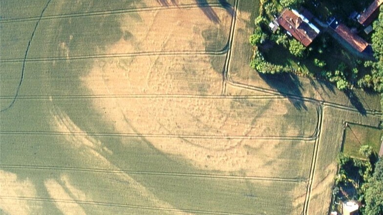 Am Ortsrand von Stauchitz sind auf dem Feld deutlich Konturen einer Ringanlage zu sehen.