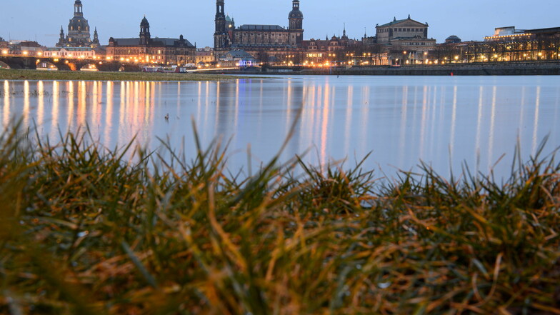 Der Pegel der Elbe in Dresden beträgt momentan 2,69 Meter (Stand: 4.Februar, 11 Uhr)