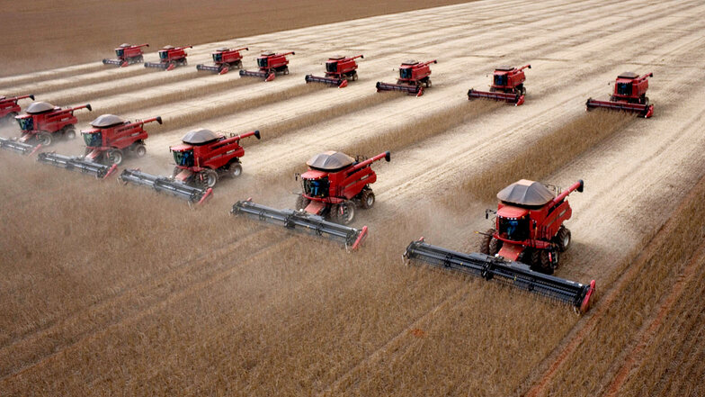Erntemaschinen fahren über ein Sojafeld. 