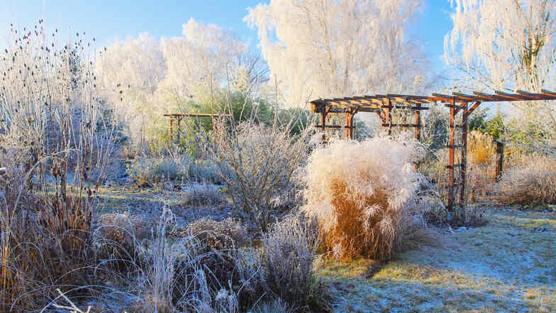 Gerade die Monate Februar und März halten noch tückische Frostperioden bereit. Wer den Pflanzenschutz zu früh entfernt, kann viel riskieren.
