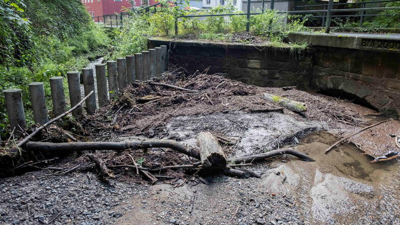 Im Bett des Helfenberger Baches in Dresden haben sich Schlamm, Geröll und Äste angesammelt und blockieren zum Teil den Abfluss.