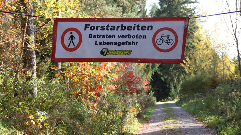 Absperrungen geben wichtige Hinweise für Waldbesucher am Waldweg im Forstbezirk Eibenstock.