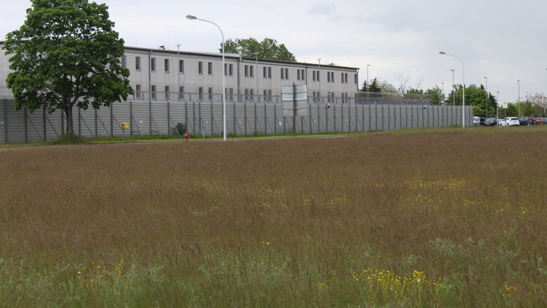 Auf der Wiese gegenüber der JVA Zeithain soll ein Logistikzentrum gebaut werden.