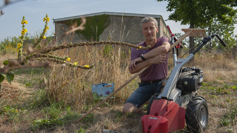 Biologielehrer Jens Tomasini kümmert sich ehrenamtlich um Rasenflächen im Großenhainer Norden. Sie werden nur eingeschränkt gemäht – für mehr Falter.