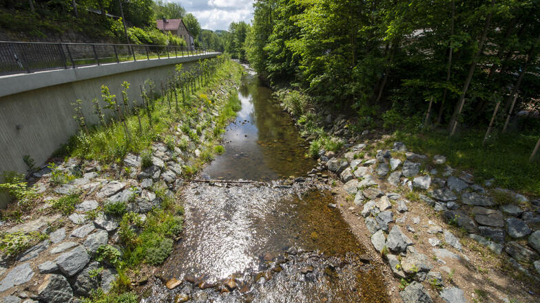 Gottleuba-Flusslauf in Pirna-Neundorf: Fisch-Hindernisse verschwinden.
