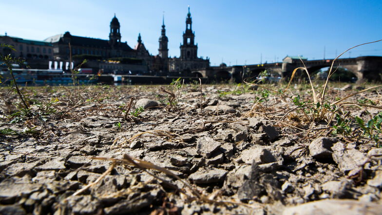 Dresden hat nun schon mehrere Dürresommer hinter sich. Kann der neue Klima-Check die Folgen reduzieren?