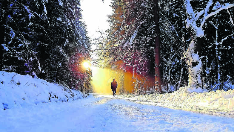 Winterlauf: Auch tiefer Schnee kann den Bannewitzer Dietrich Sonntag nicht von einem Waldlauf abhalten. Auf dem Foto ist er selbst zu sehen, bei einer Runde durch den Tharandter Wald.