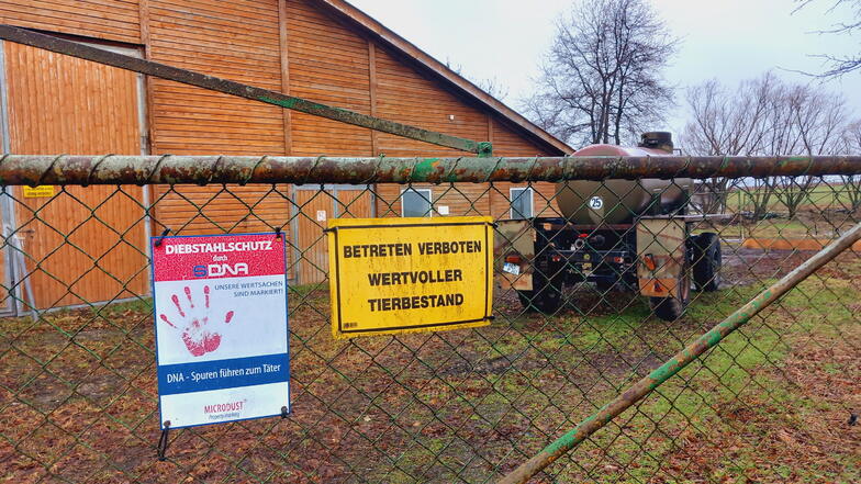 Priestewitz: Sächsischer Kuhstall kommt unter den Hammer