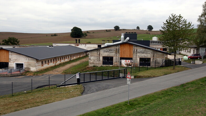 In der ehemaligen Schweinemastanlage in Langenwolmsdorf werden Ferkel gezüchtet.