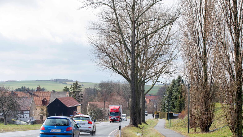 An der Straße am Ortsausgang von Grumbach auf Höhe des Edeka stehen zahlreiche Bäume. Der Technische Ausschuss hat jetzt beschlossen, dass eine Firma sich um die Baumpflege kümmern soll.