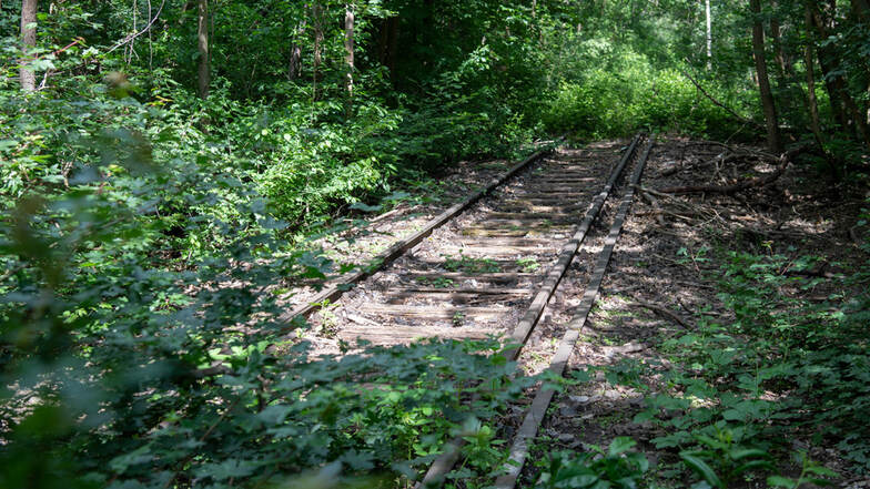 Die Bahn will stillgelegte Strecken reaktivieren - außer in Sachsen.