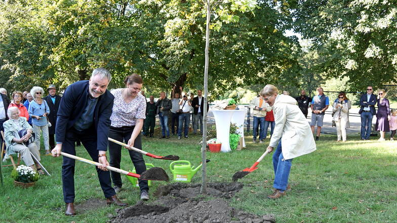 Der 100. ist ein Tulpenbaum und wurde von Oberbürgermeister Uwe Rumberg, Stefanie Wieland vom Grünflächenamt und Susanne Brand vom Umweltzentrum (v.li.) gepflanzt.