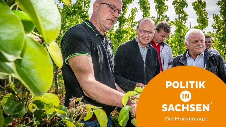 Sachsens Agrarminister Wolfram Günther hat sich ein Bild von den Frostschäden bei den Obstbauern gemacht.