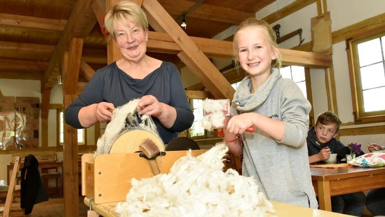 Karin Drutschmann (64) führte ihrer Enkelin Klara-Marie (8) in der Schäferei Drutschmann in Reichstädt vor, wie man Schafswolle zu Kuschelkissen verarbeitet. Die Wolle stammt von den eigenen Tieren. Sie muss durch das Kämmen gelockert werden.