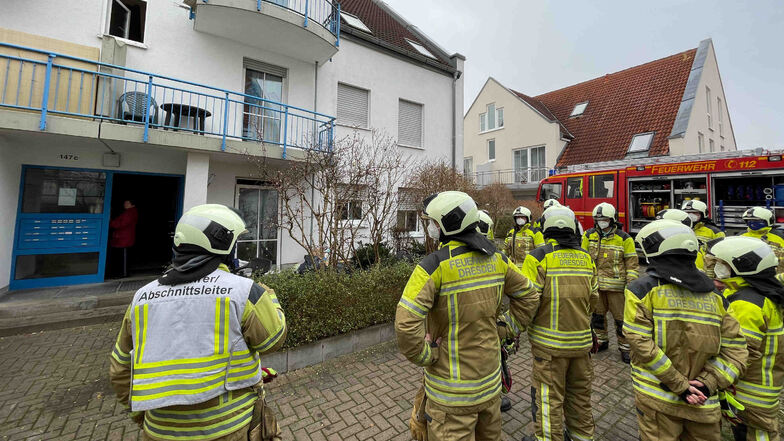 Die Feuerwehrleute mussten sich aus dem Haus zurückziehen, nachdem sie angegriffen worden waren.