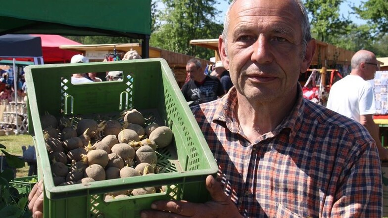 Peter Schostek kultiviert in seiner Gärtnerei in Zittau seltene Kartoffelsorten und bietet Pflanzkartoffeln zum Verkauf an. Besonders gefragt ist die DDR-Sorte Adretta.